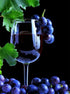 Wine Glass Diamond Painting Kit
